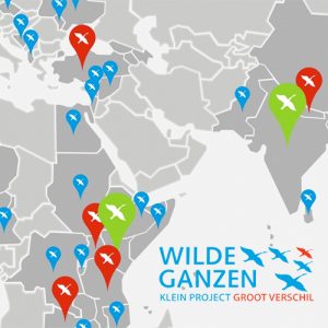 wild geese foundation